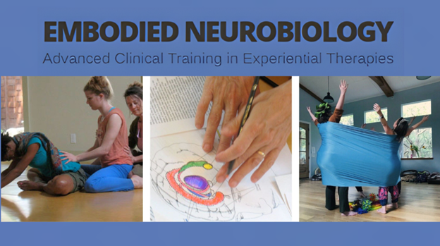 Embodied Neurobiology